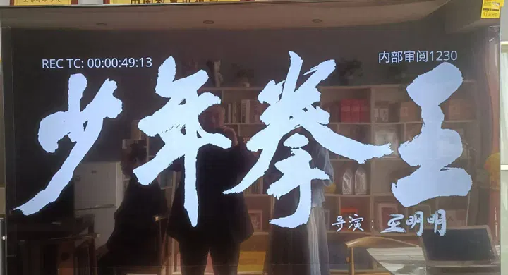 【动作片】少年拳王